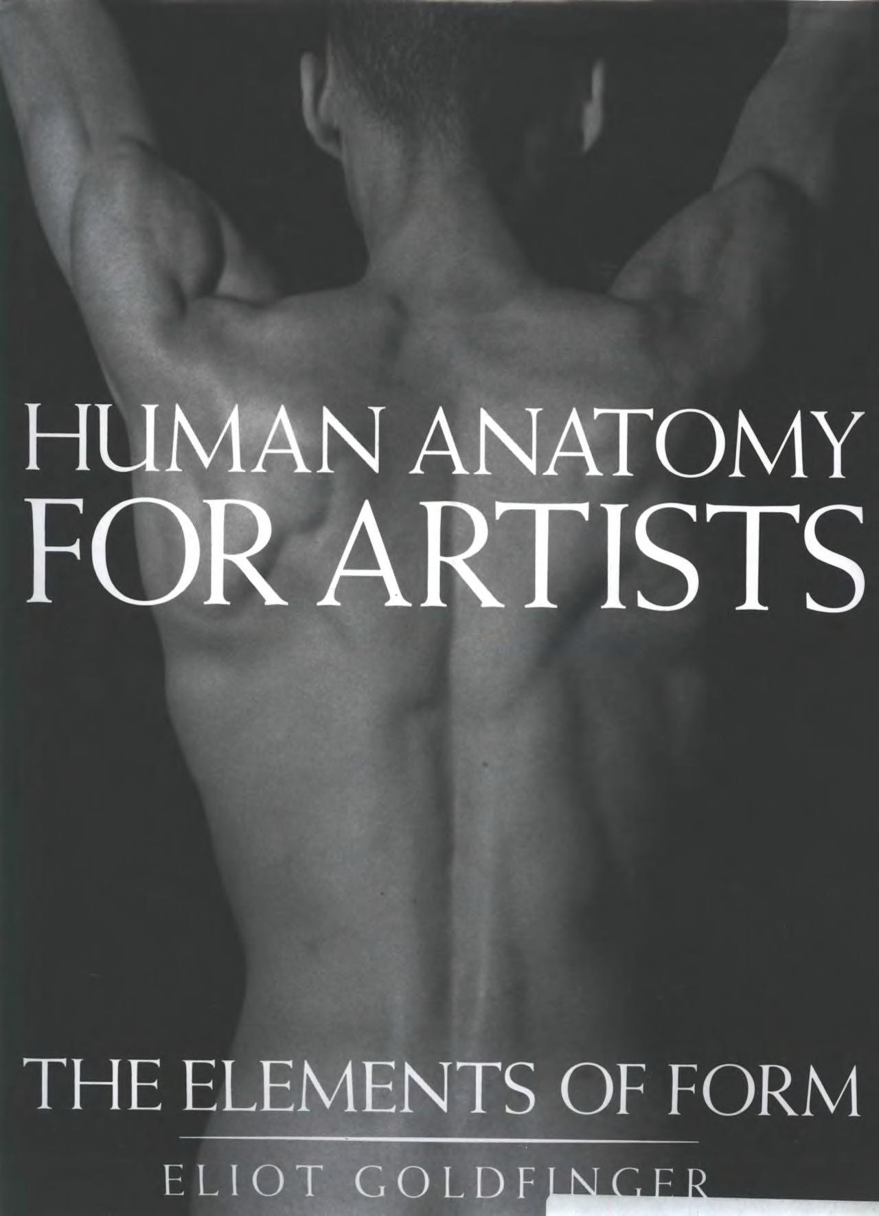 Human Anatomy for Artists Eliot Goldfinger : Free Download, Borrow, and  Streaming : Internet Archive